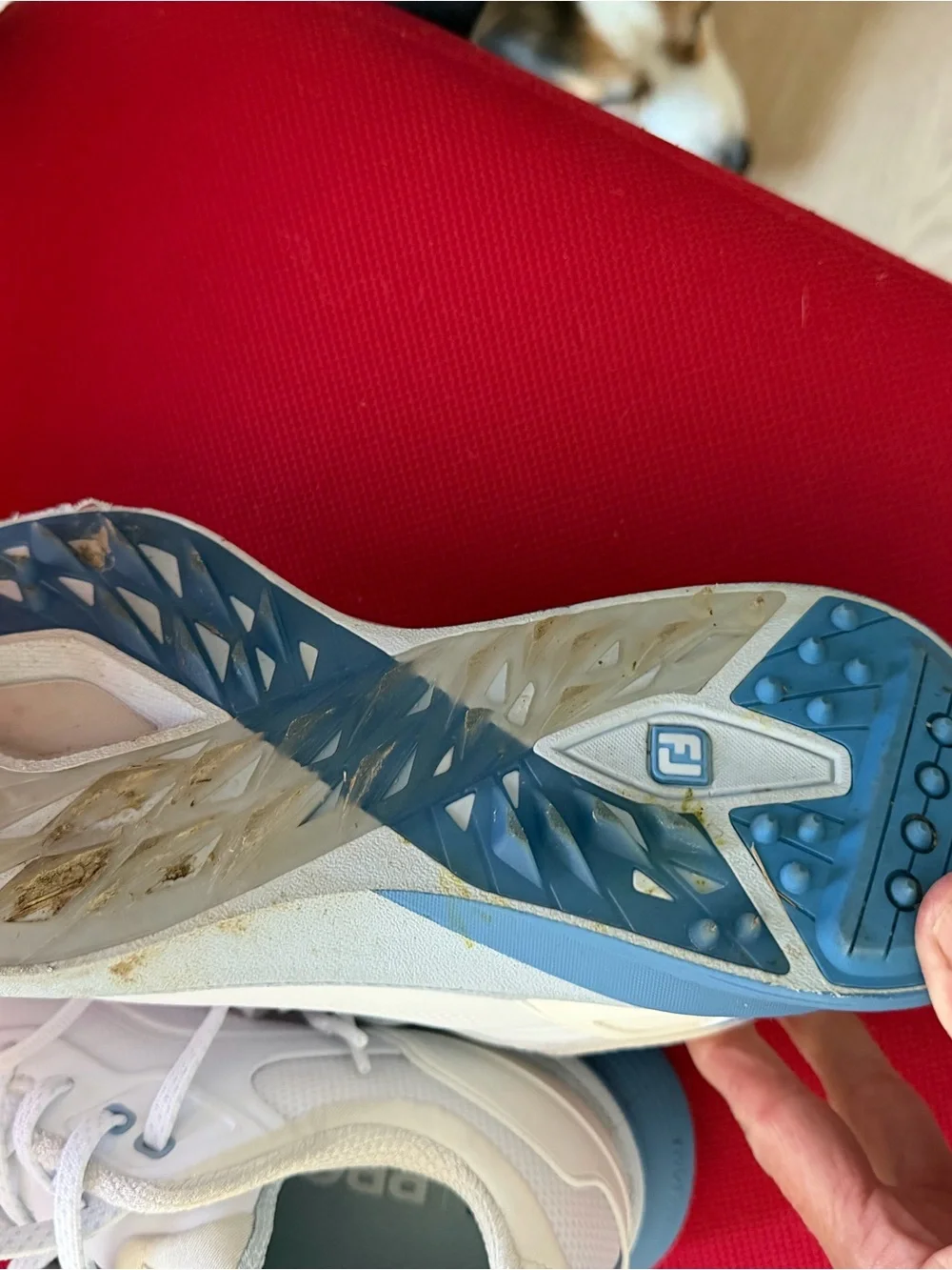 FootJoy White Kids Athletic Golf Sneakers with Blue Accents